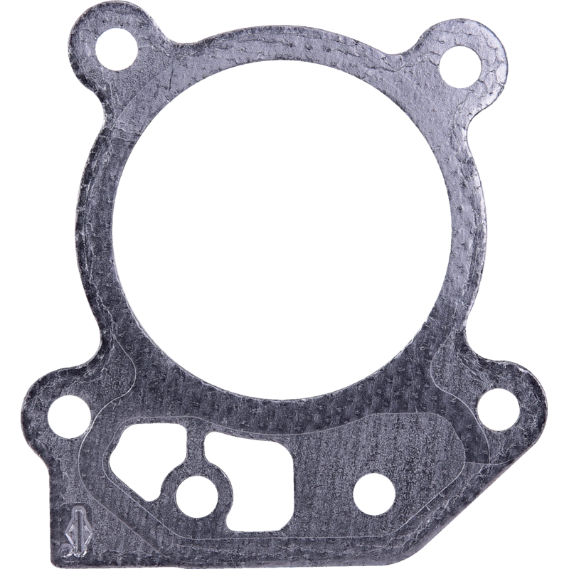Briggs und Stratton Zylinderkopfdichtsatz – Nr. 799586 Briggs und Stratton