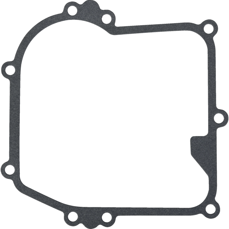 Briggs und Stratton Kurbelgehäusedichtung – Nr. 799587 Briggs und Stratton