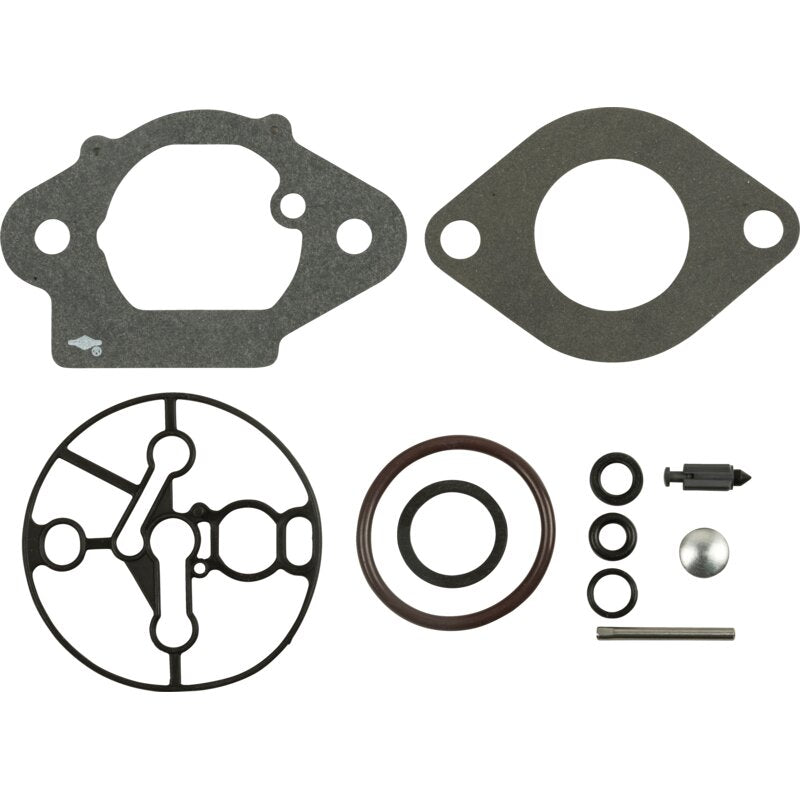 Briggs und Stratton Vergaserüberholsatz – Nr. 799722 Briggs und Stratton