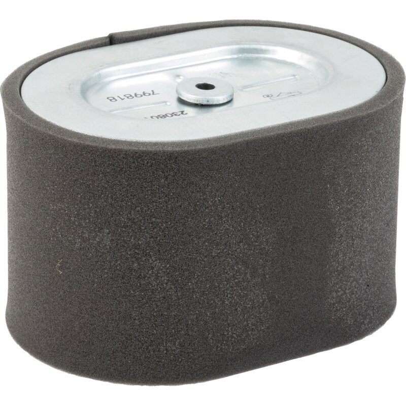Briggs und Stratton Luftfilter – Nr. 799818 Briggs und Stratton