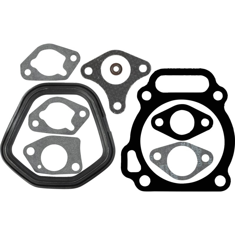 Briggs und Stratton Zylinderkopfdichtsatz – Nr. 799953 Briggs und Stratton