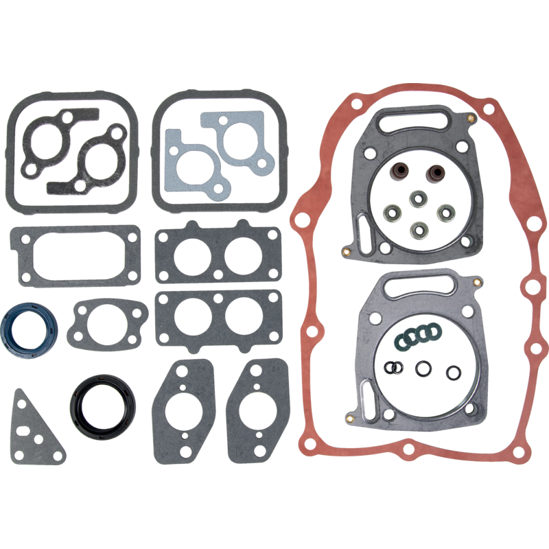 Briggs und Stratton Dichtungssatz – Nr. 842658 Briggs und Stratton
