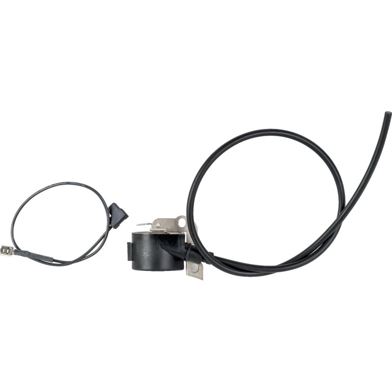 AS-Motor Zündanker E06165, G00180066, 06165, ...