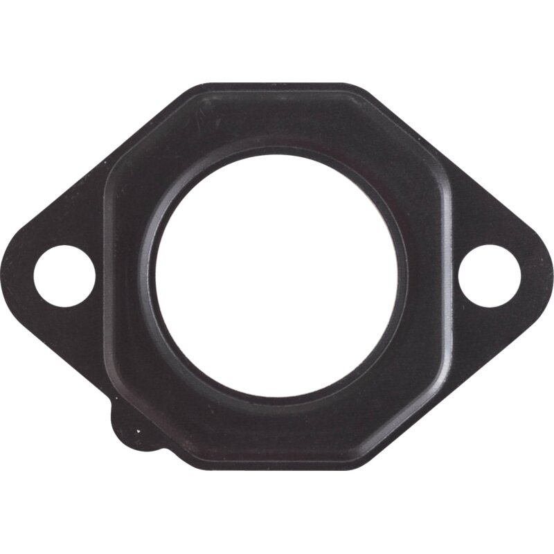 Kawasaki Dichtung für Vergaser 110092827 Kawasaki