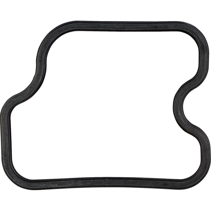 Kawasaki Dichtung für Ventildeckel 110092829 Kawasaki