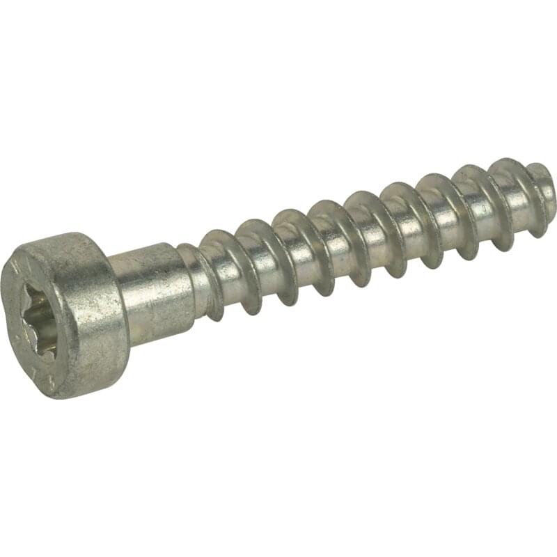 Stihl Gehäuseschraube L 32 mm, für Rasenmäher Stihl 90744784675