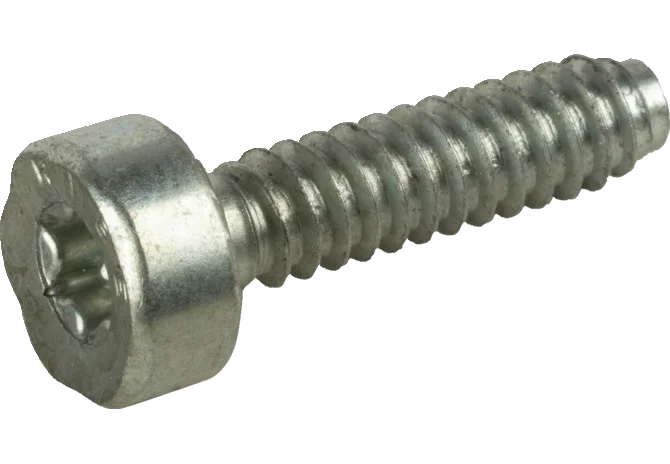 Stihl Torxschraube 90754784136 Gewinde 5 mm, Länge 20 mm, passend zu FS 56 C-E Stihl