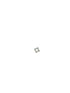 Ambrogio Ring innen 025 D0044 01 Ambrogio