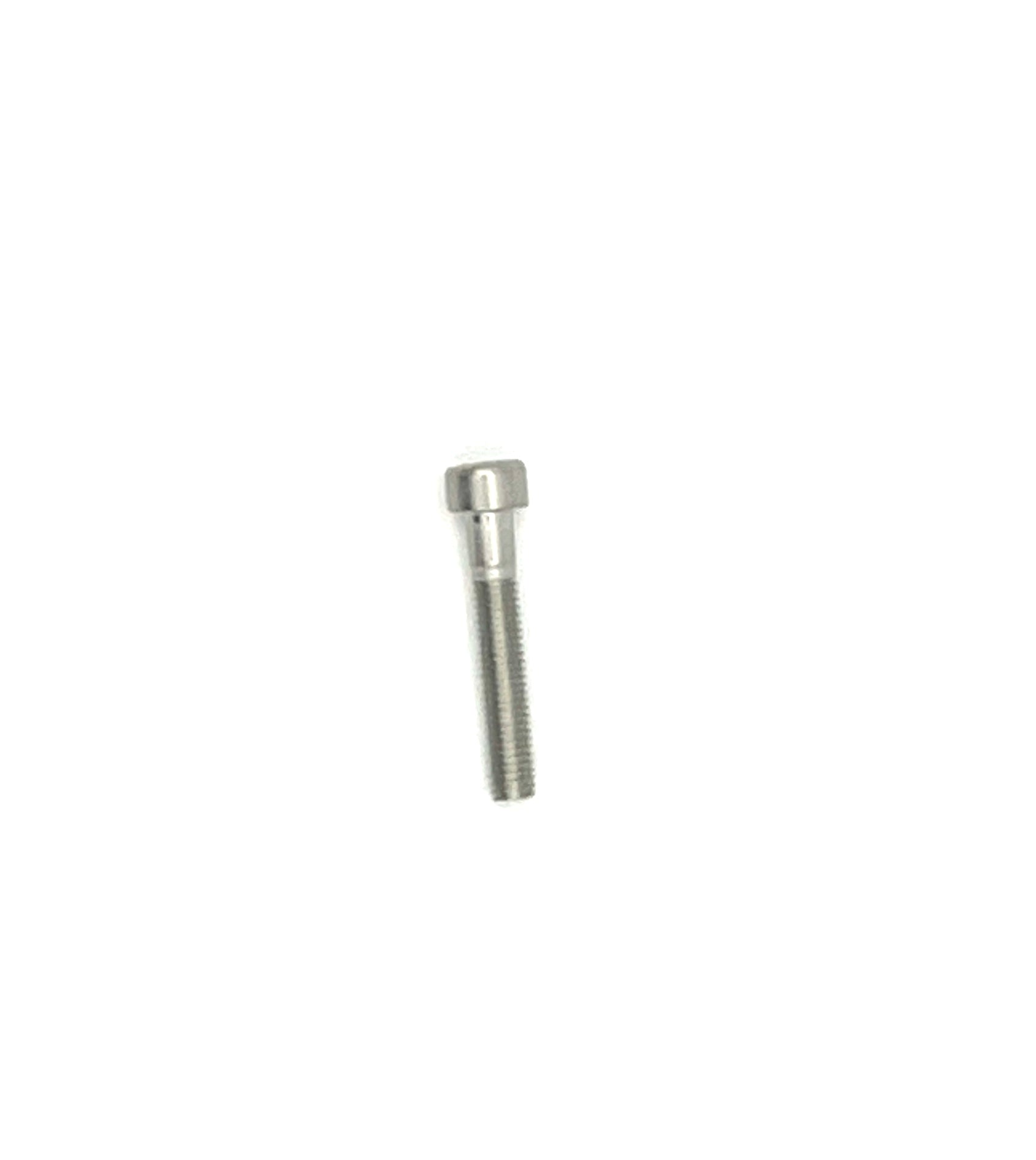 Ambrogio Schraube M5x30 C01723 Ambrogio