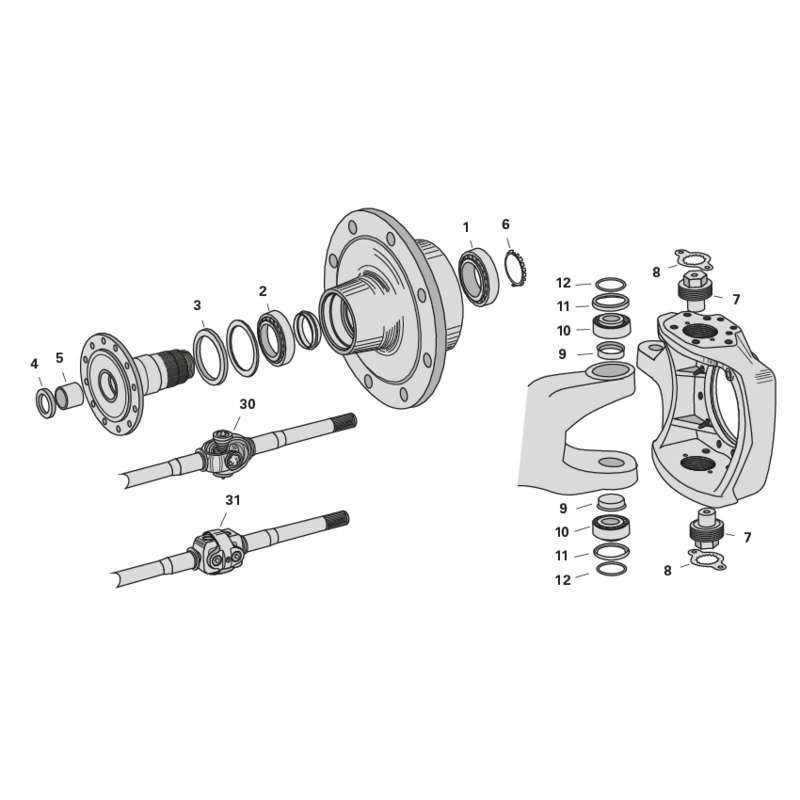 ZF Achsteile für Case IH mit ZF-Achse APL1251