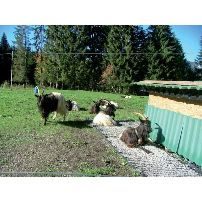 EcoRaster S53 Swing Rasengitter 33 cm – Seitenansicht mit 5 cm Höhe