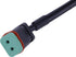 Adapterkabel, H9-Buchse auf DT-Stecker