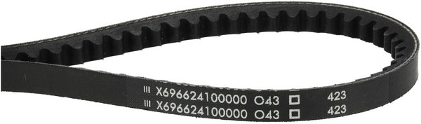 Agco Keilriemen