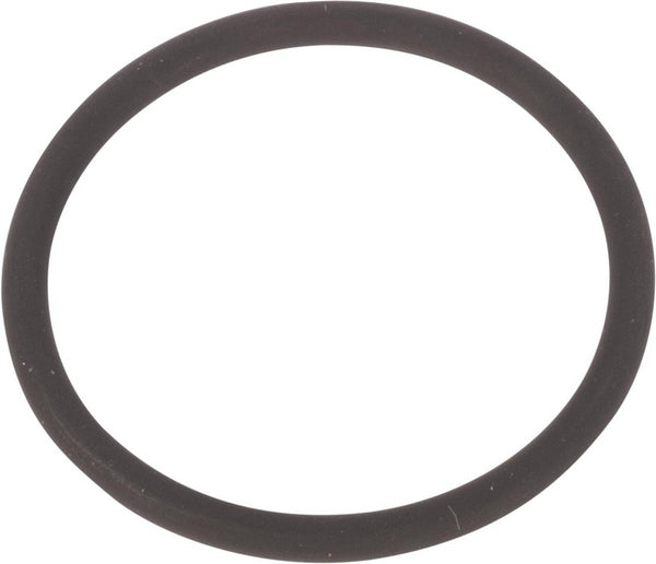 Agco O-Ring