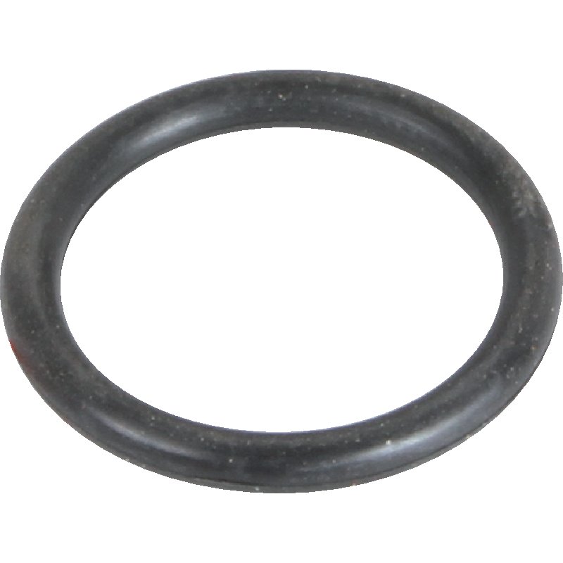 Briggs & Stratton Dichtung für Einlasskrümmer 270344S