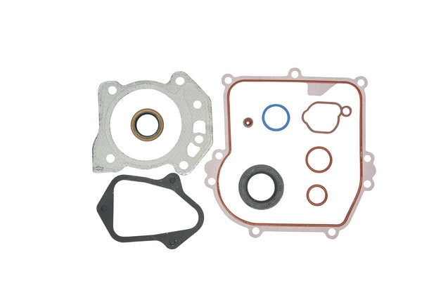 Briggs & Stratton Dichtungssatz, Motor 84006587