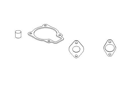 Briggs & Stratton Dichtungssatz-Vergaser 801312