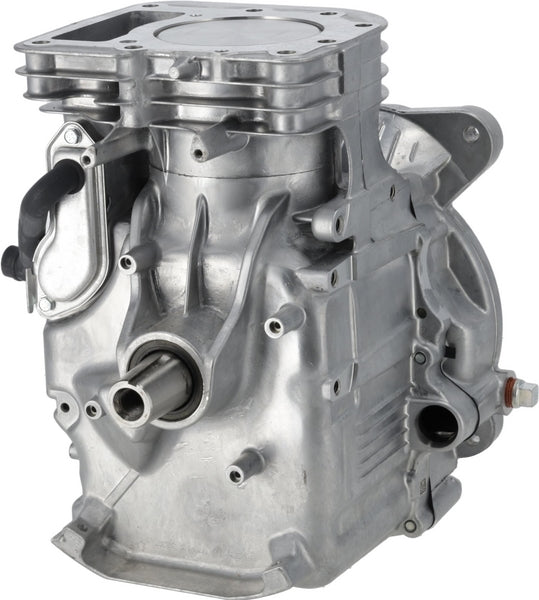 Briggs & Stratton Rumpfmotor SB MODEL 21 AVS 592055