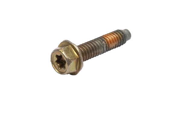 Briggs & Stratton Schraube 691689