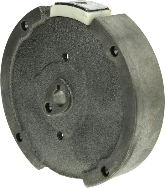 Briggs & Stratton Schwungrad 797287