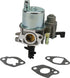 Briggs & Stratton Vergaser 595781