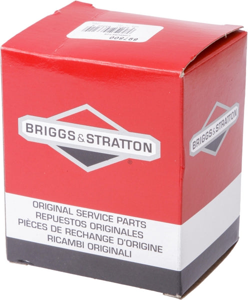 Briggs & Stratton Vergaser 697800