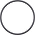 Fendt (AGCO) O-Ring