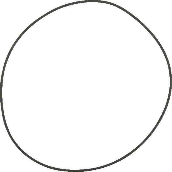 Fendt (AGCO) O-Ring