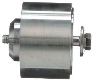 FPT Industrial Spannrolle