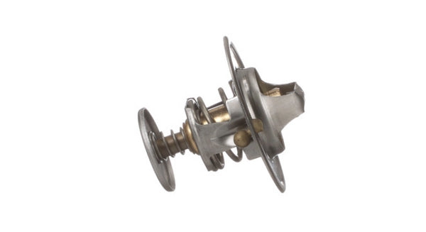 FPT Industrial Thermostat