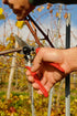 Gartenschere Nr. 6, Felco