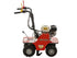 Benassi GL L300 Rasensodenschneider mit Honda GX160 – 30 cm Schnittbreite Benassi