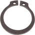Goldoni Seeger-Ring 25x2