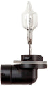 Halogenlampe (x10)