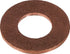 Lombardini Ring 4670 099