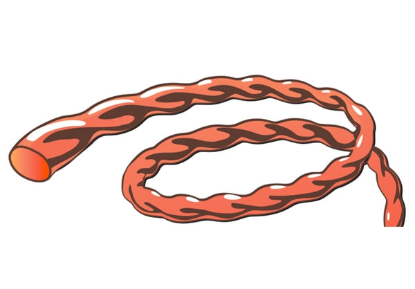 Mähfaden, 4.3mm x 21m, Vortex NL4321VORA