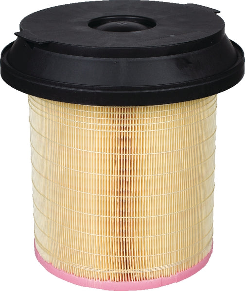 MANN-FILTER Luftfilterelement C 29 010 KIT