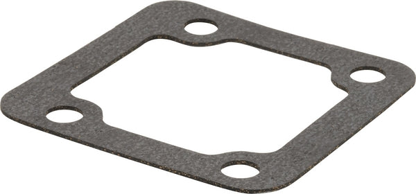 Massey Ferguson (AGCO) Dichtring