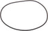 Raico O-Ring