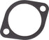 SDF Dichtung Thermostat