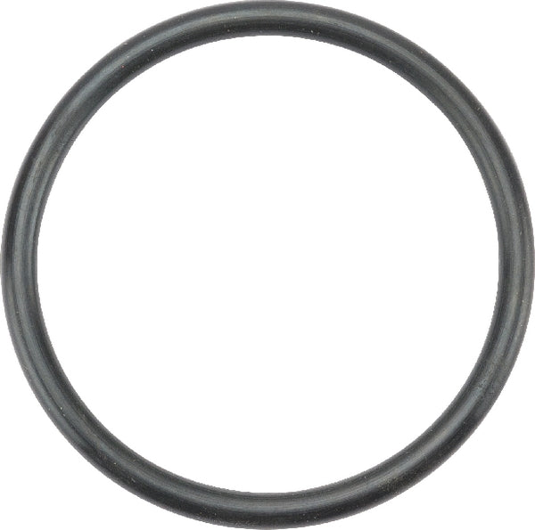 Solo O-Ring 10697