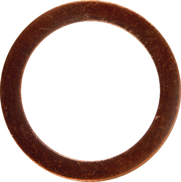Spicer Dana Dichtring
