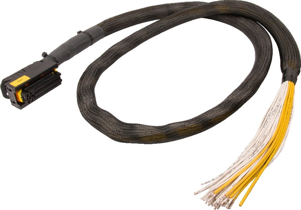 STW 81-pol AMP, Code (A) mit Kabel